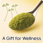 Manmeoksul 50g Home Routine Pack green broccoli powder with A Gift for Wellness message